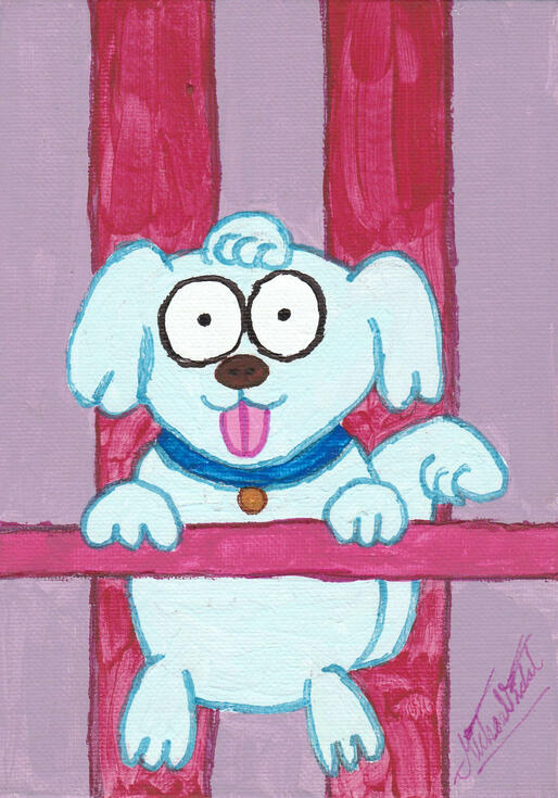 Blue baby pooch Blue baby pooch
