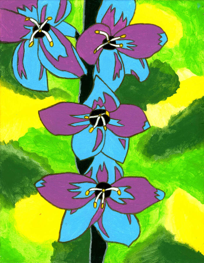 Blue violet dapls Blue violet dapls