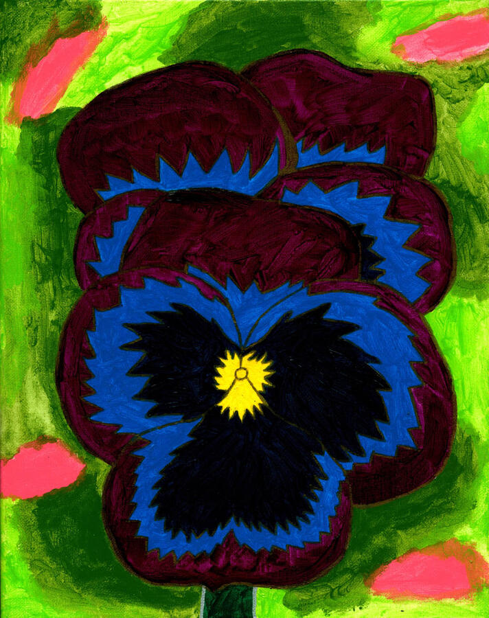 Blue Pansy Blue Pansy