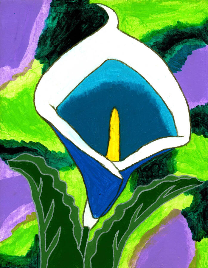 Blue Calililly Blue Calililly
